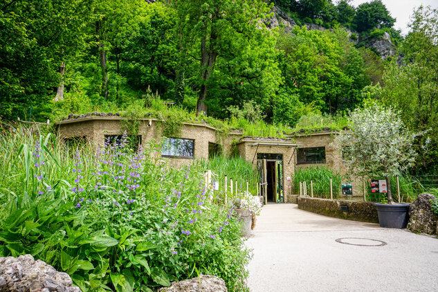 Eingang zum Gibbonhaus Zoo Salzburg