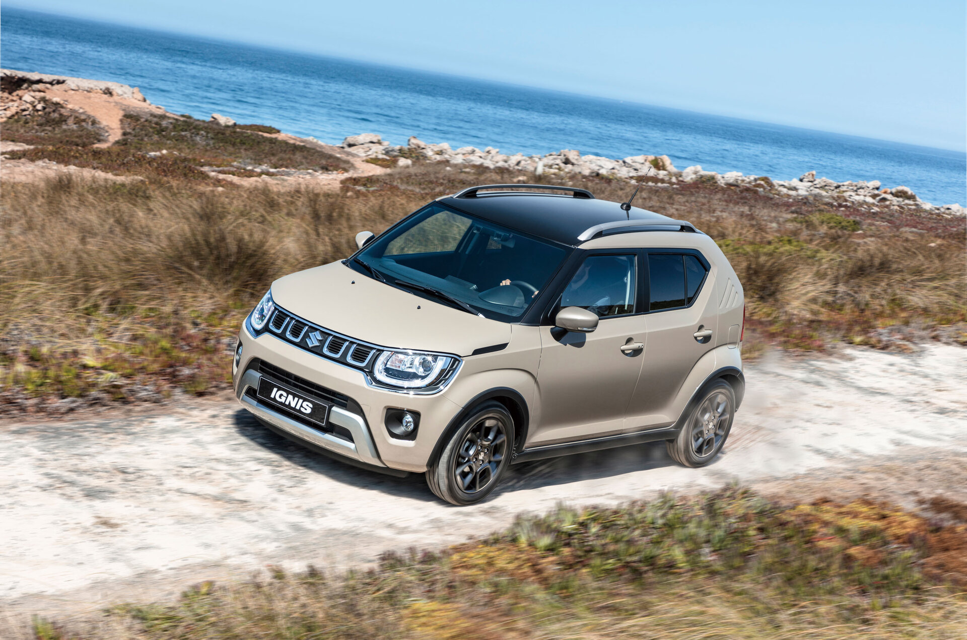 Suzuki Ignis Farben