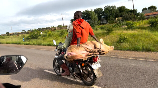 Alles wird auf "Boda-Bodas" transportiert.