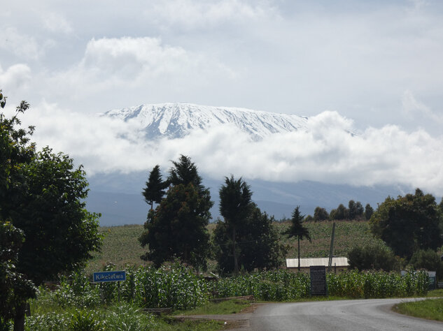 Den höchsten Berg Afrikas im Blick: Kilimanjaro